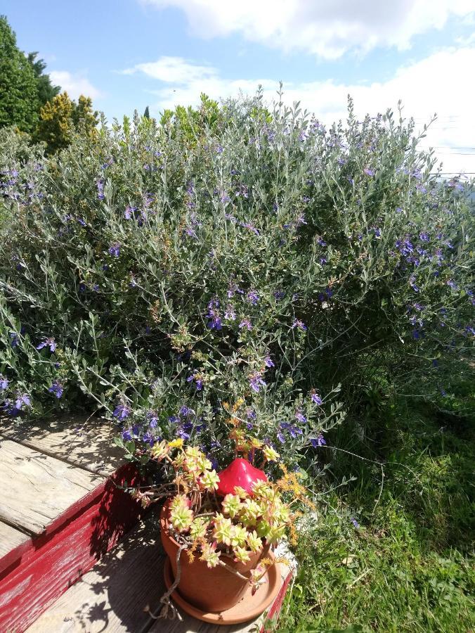 Bed and Breakfast Brindepaille Vallon-Pont-dʼArc Exterior foto